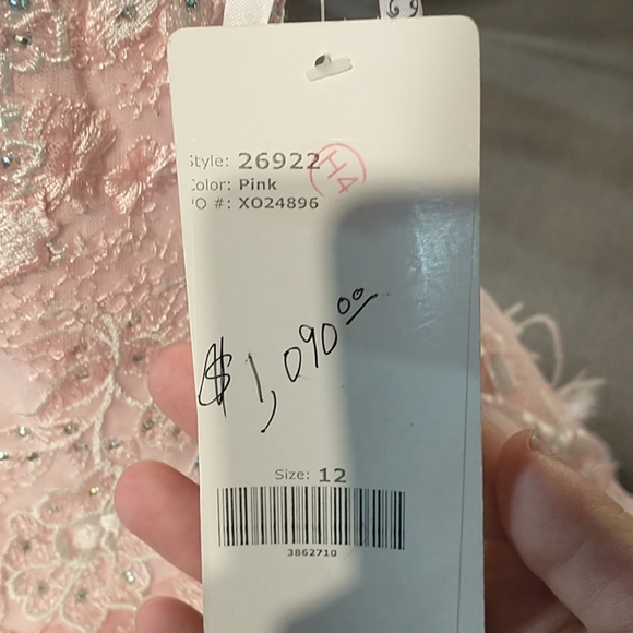 Quinceanera or Prom gown pink with feathers corset back - Picture 10 of 10